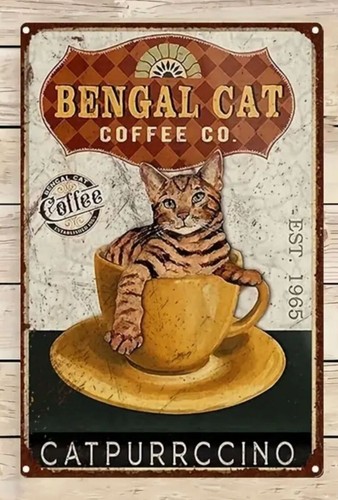 Bengal Cat  Coffee Company Cat - Coffee Tea And Company avaliação e preço